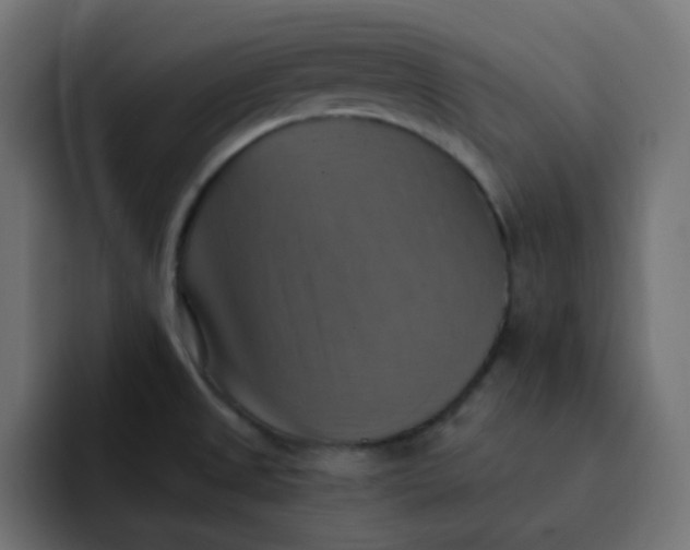 X0000092111525200710031221