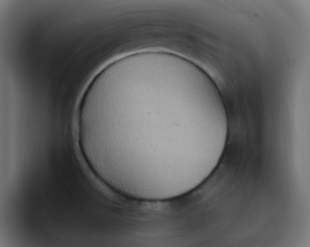 X0000092111526200710031221