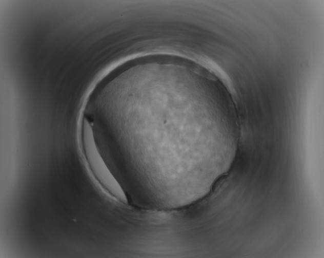 X0000092111528200710031221