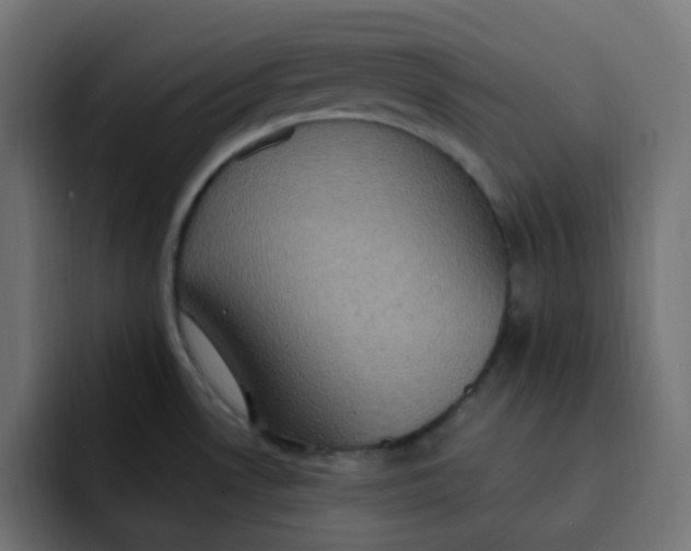 X0000092111530200710031221