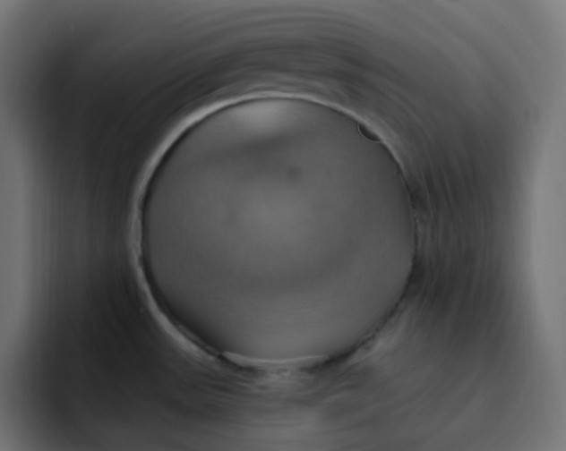 X0000092111531200710031221