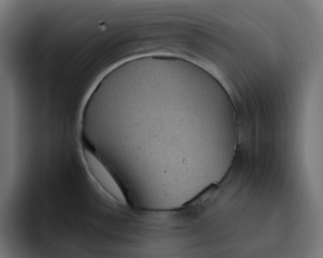 X0000092111532200710031221