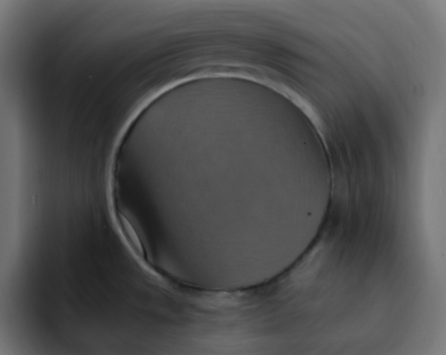 X0000092111533200710031221