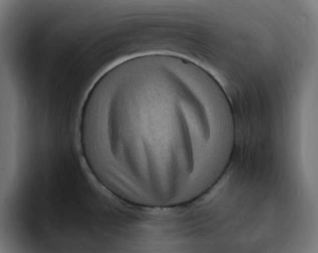 X0000092111534200710031221