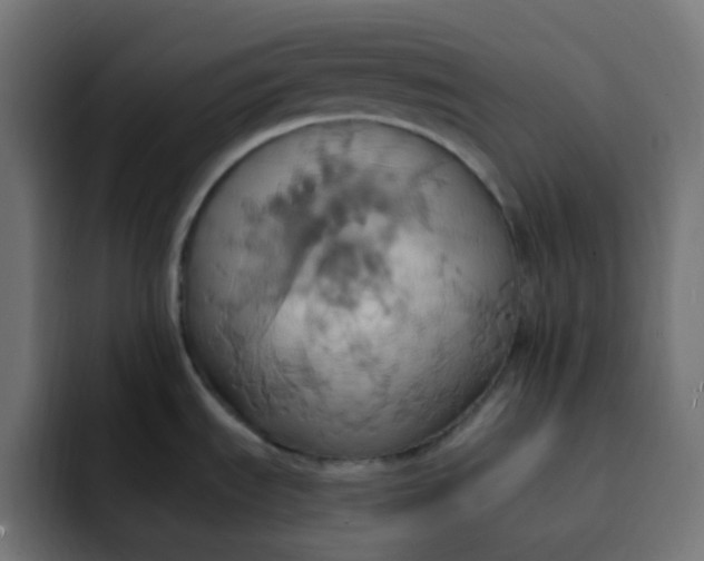 X0000092111535200710031221