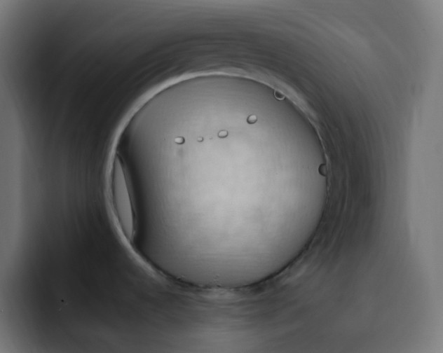 X0000092111536200710031221