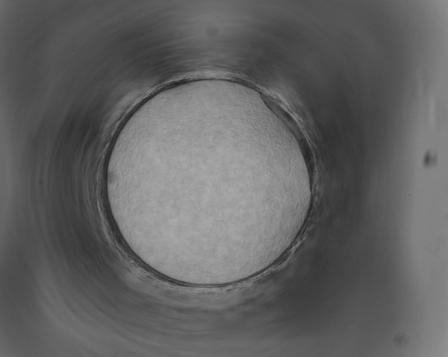 X0000092110001200710101153
