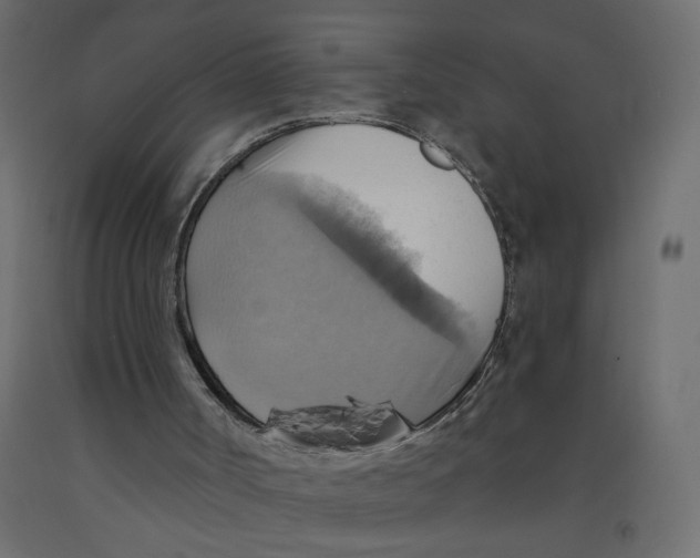 X0000092110002200710101153