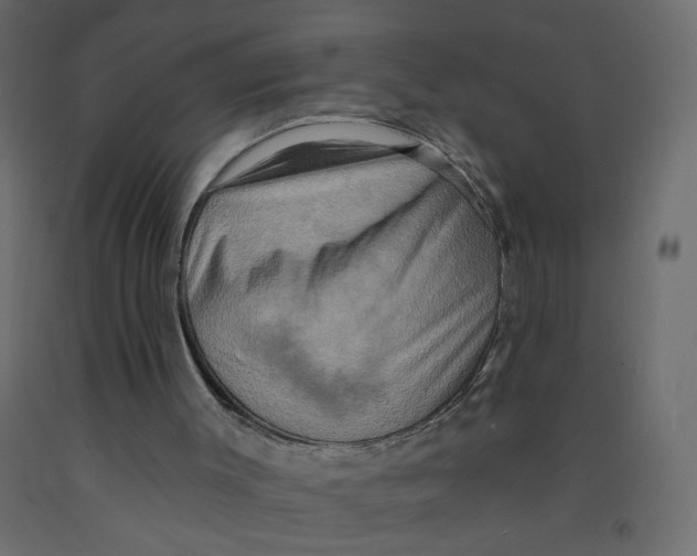 X0000092110003200710101153