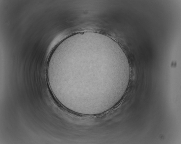 X0000092110004200710101153