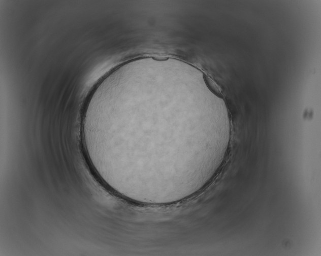 X0000092110005200710101153