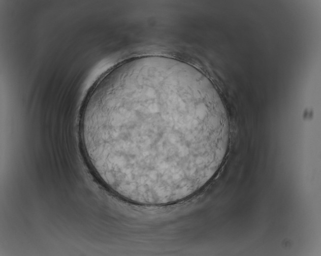 X0000092110006200710101153