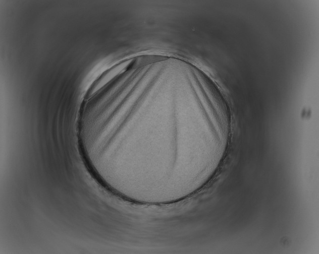 X0000092110007200710101153
