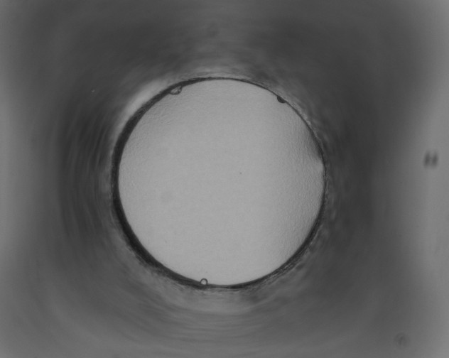 X0000092110008200710101153