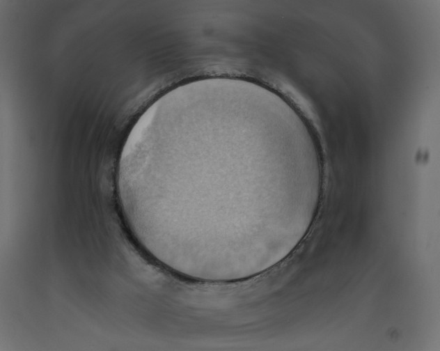 X0000092110009200710101153