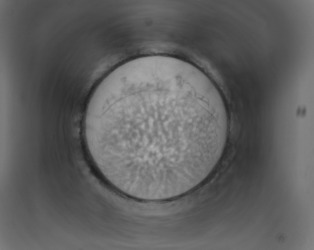 X0000092110010200710101153