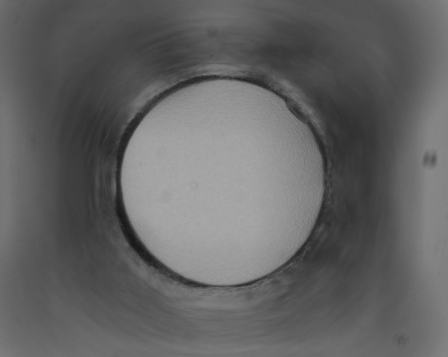 X0000092110011200710101153