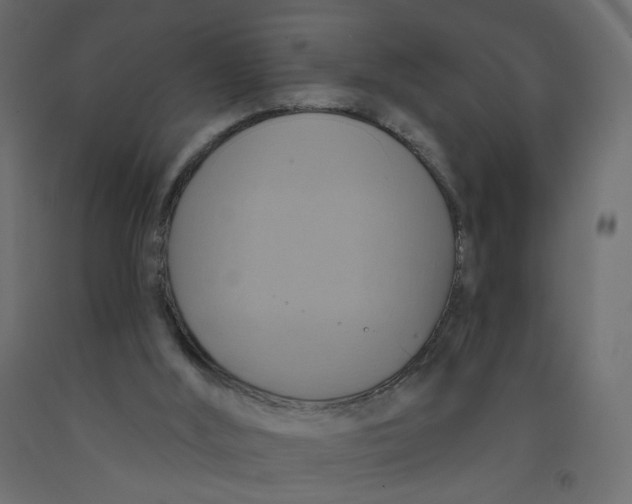 X0000092110012200710101153