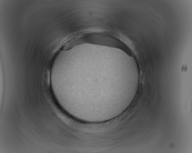 X0000092110013200710101153