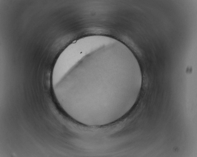 X0000092110014200710101153