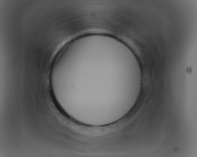 X0000092110015200710101153