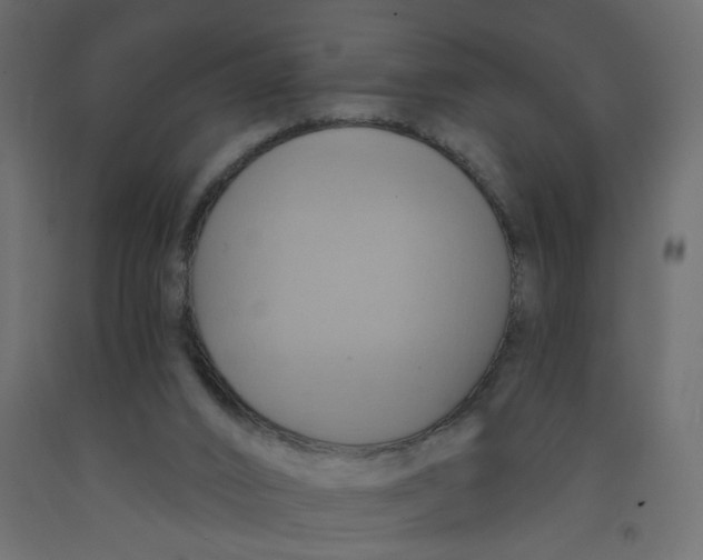 X0000092110016200710101153