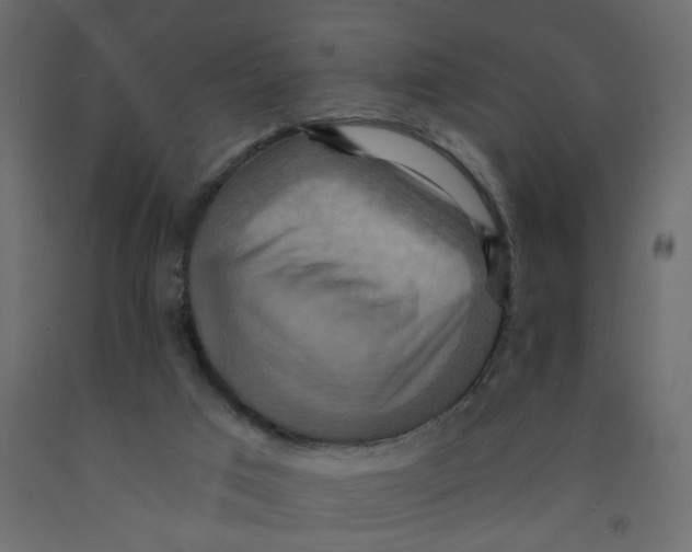 X0000092110017200710101153