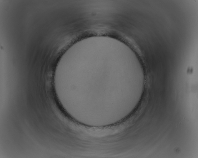 X0000092110018200710101153