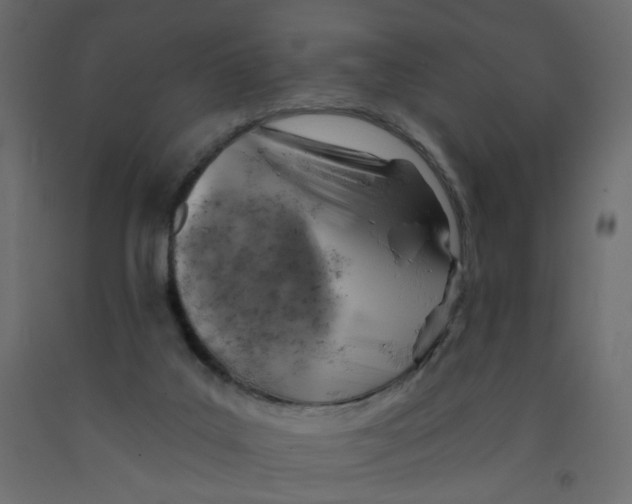 X0000092110019200710101153
