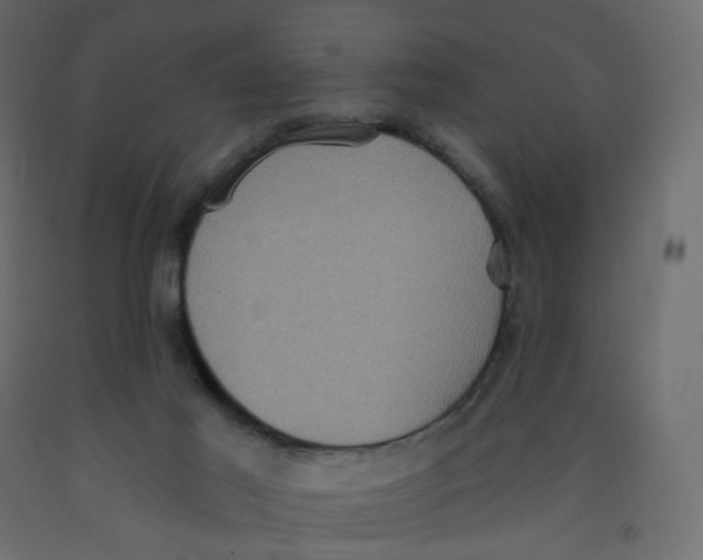 X0000092110021200710101153