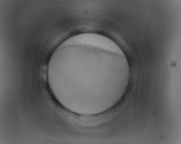 X0000092110022200710101153