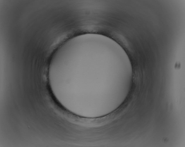 X0000092110023200710101153