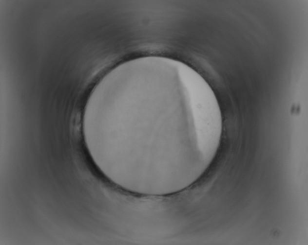 X0000092110024200710101153