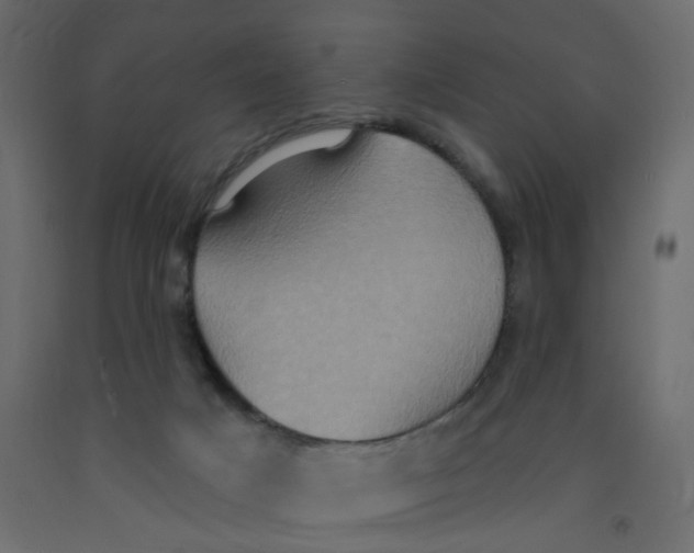 X0000092110025200710101153