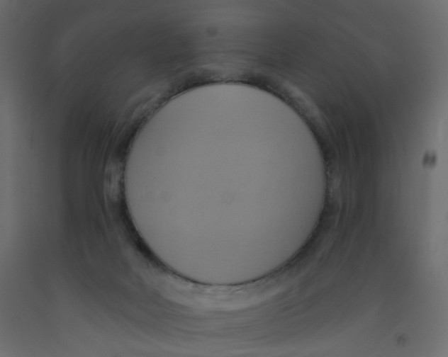 X0000092110026200710101153