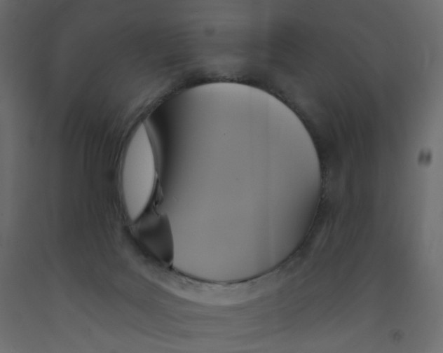 X0000092110027200710101153