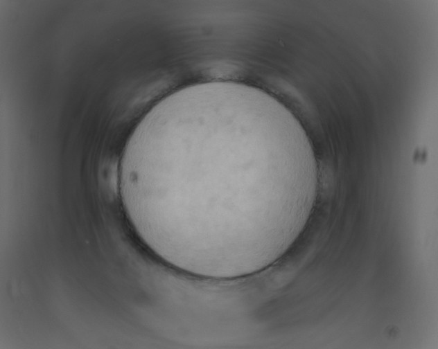 X0000092110028200710101153