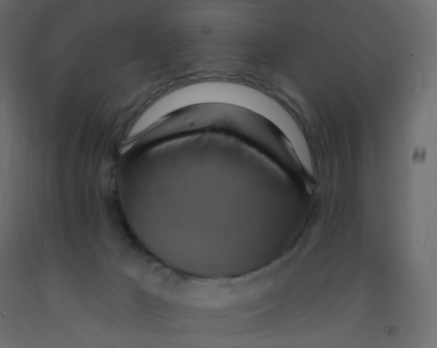 X0000092110029200710101153