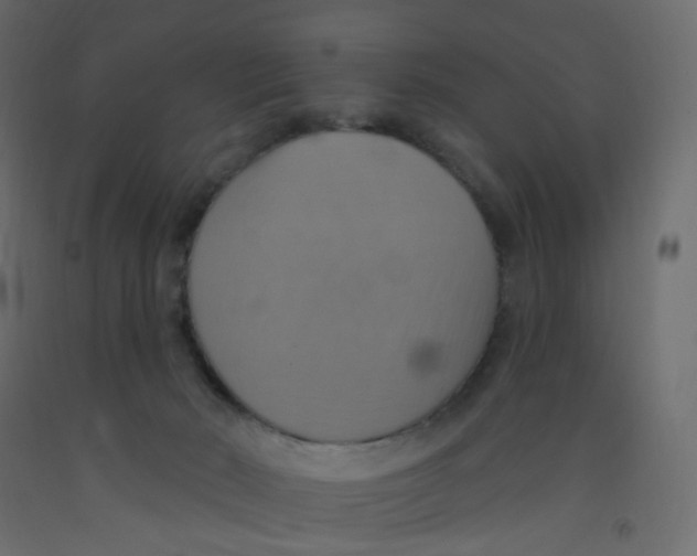 X0000092110030200710101153