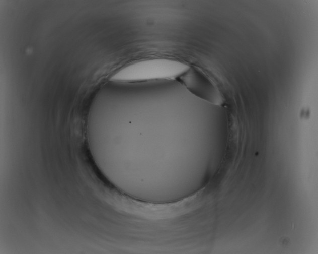 X0000092110031200710101153
