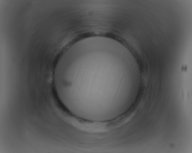 X0000092110032200710101152