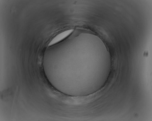 X0000092110033200710101152