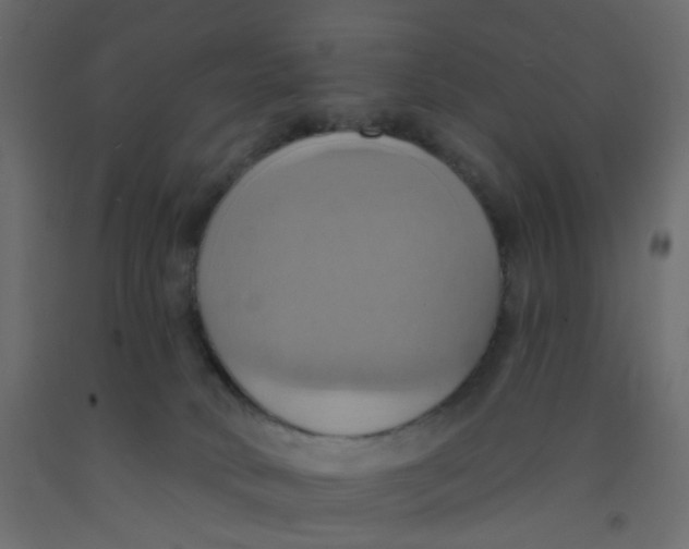 X0000092110034200710101152