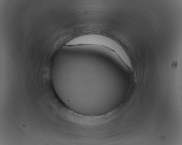 X0000092110035200710101152