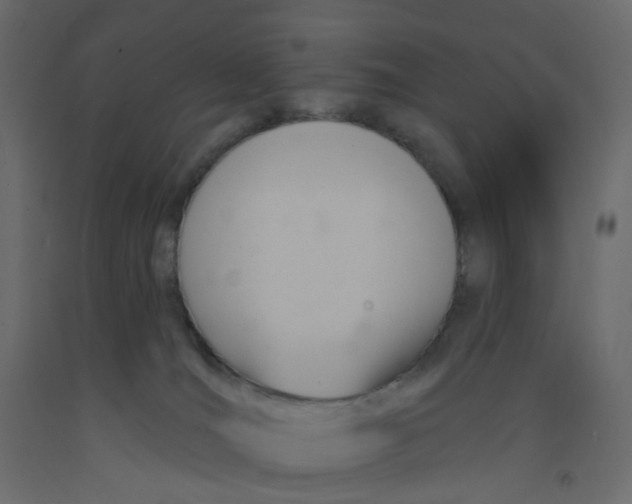 X0000092110036200710101152
