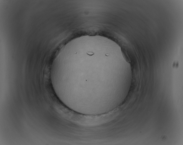 X0000092110037200710101152