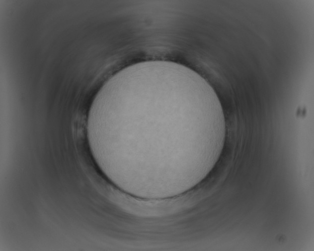 X0000092110038200710101152