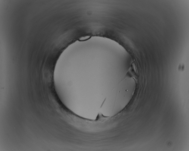 X0000092110039200710101152