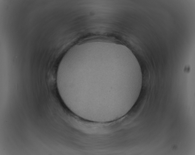 X0000092110040200710101152