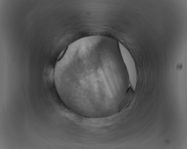 X0000092110041200710101152